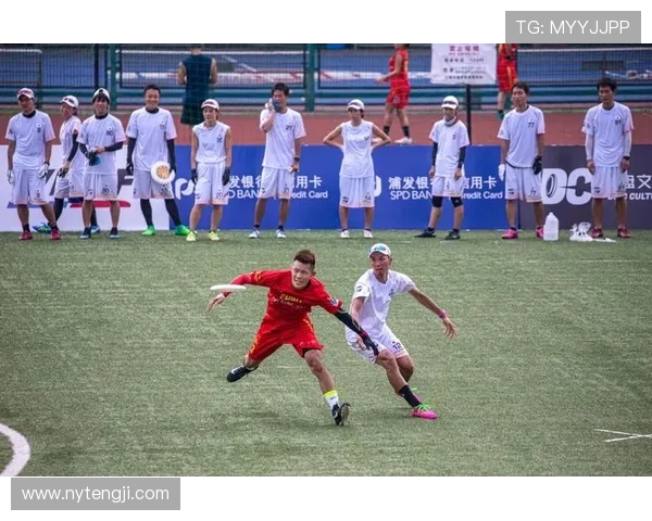 上海飞盘队团队协作的独特优势与其他队伍的深度对比分析